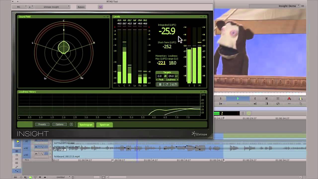 Loudness Metering in Media Composer | iZotope Insight