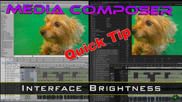 Media Composer Quick Tip – Interface Brightness