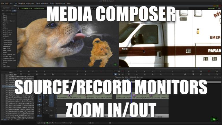 Media Composer – Source/Record Monitor ZOOM