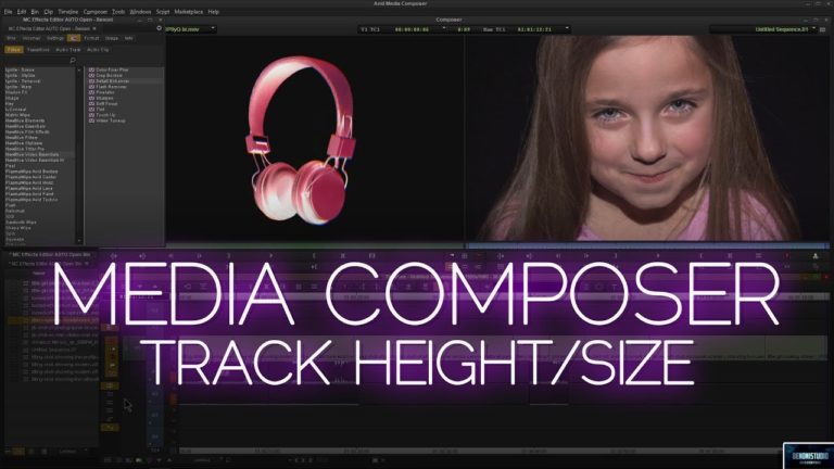 Media Composer 2018 | Track Height/Size