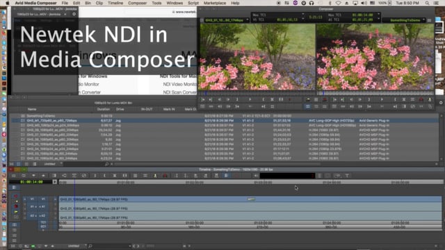NewTek NDI in Media Composer