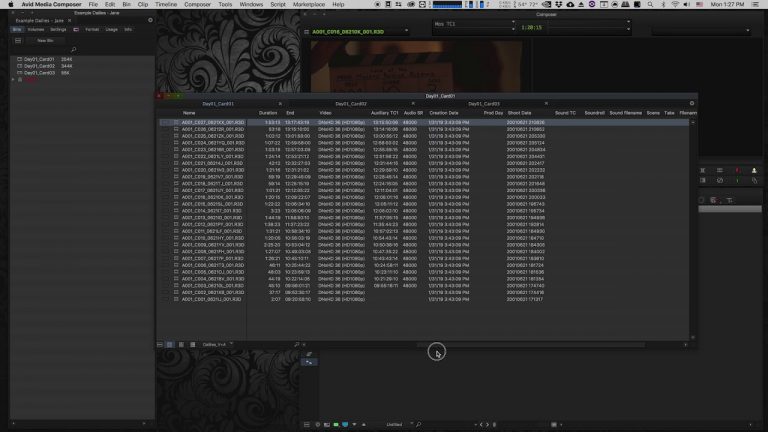 Creating Dailies in Davinci Resolve for Avid Media Composer (Part 5/7)