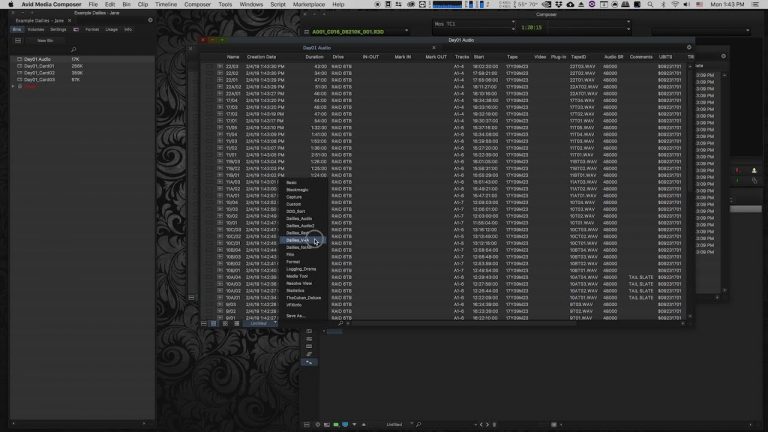 Creating Dailies in Davinci Resolve for Avid Media Composer (Part 6/7)