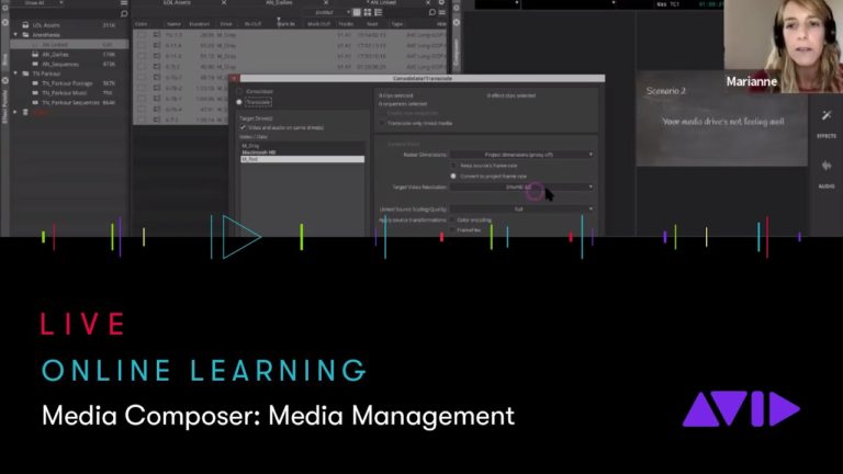 Avid Online Learning — Media Composer: Media Management, never lose your media again