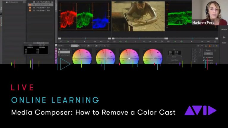 Avid Online Learning — Media Composer: How to Remove a Color Cast