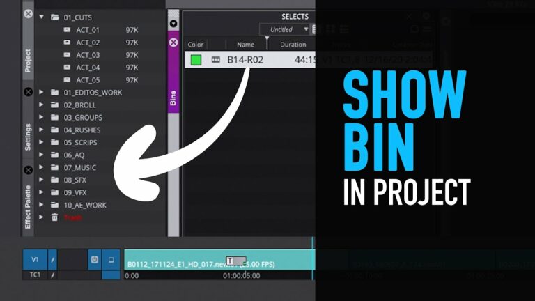 Show Bin In Project – Avid Media Composer Tutorial