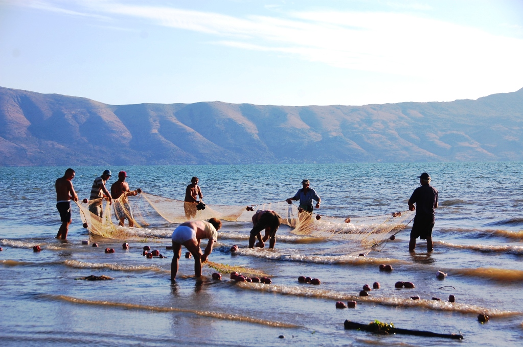Fiskarna vittjar sina nät i Shkodersjön