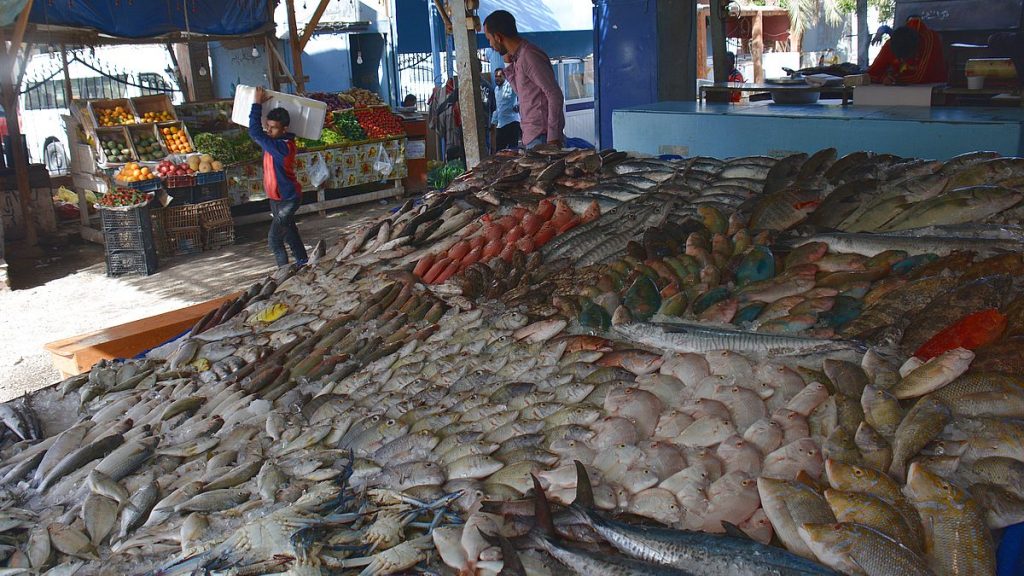 Fiskmarknad i Egypten