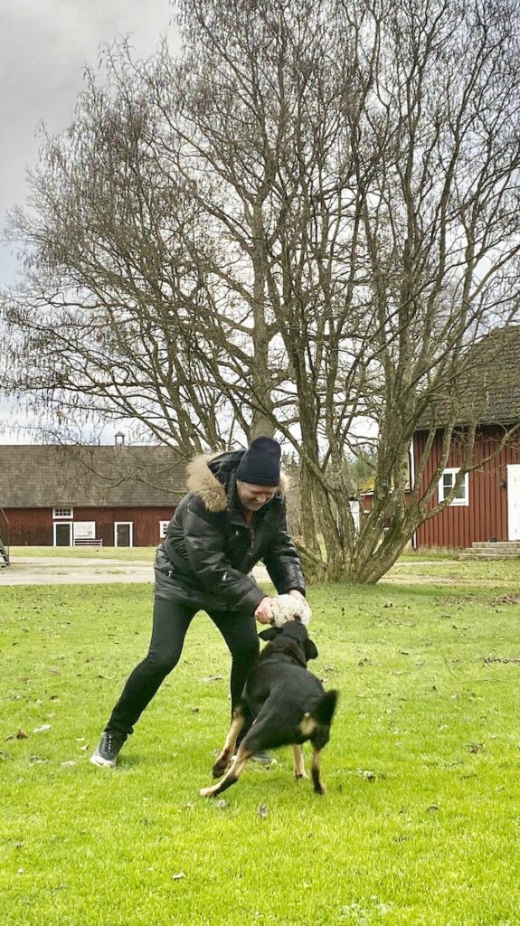 Vidinge gård - hundvänligt boende i Småland