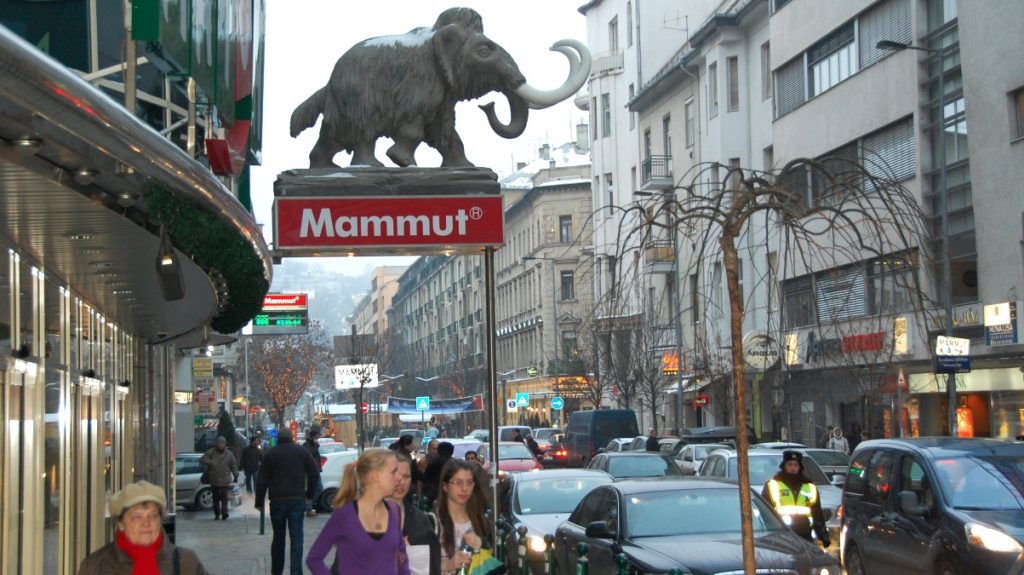 Mammut