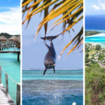Tahiti, Moorea och Bora Bora – drömresmål i Stilla havet