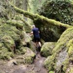 Tivedens nationalpark – vandring i vilda skogar
