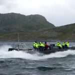 Ribbåt i Nordnorge – på ribsafari i Saltströmmen