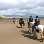 Att rida på Irland – irländska hästar i Kerry