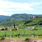 Valpolicella – med besök hos vinproducenter