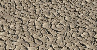 Dry Soil by Norberto Chavez Tapia e1473937104197