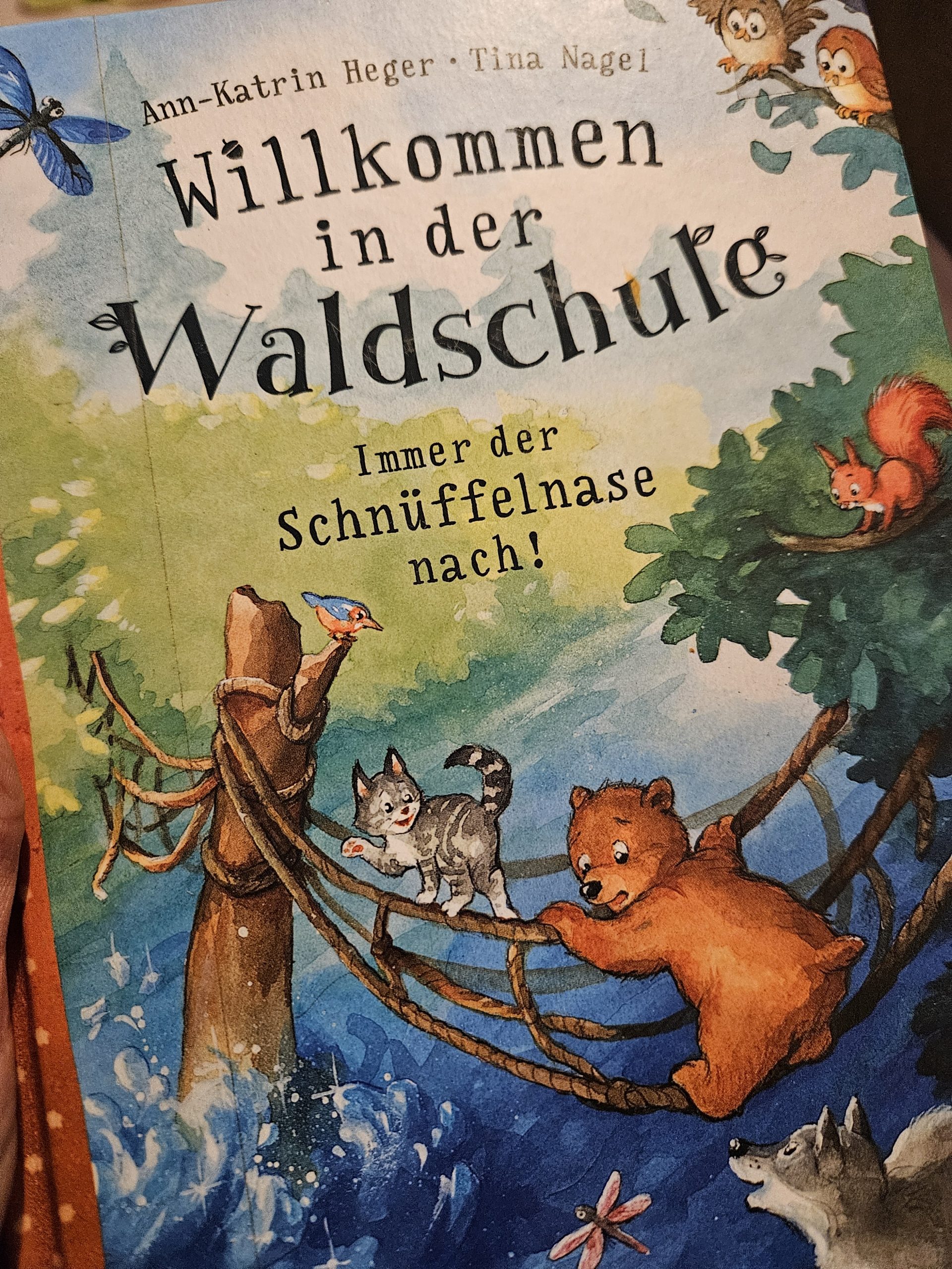 Ein Buch mit dem Titel "Willkommen in der Waldschule - Immer der Schnüffelnase nach!" mit dem Bild einer Hängebrücke, auf der eine grau gestreifte Katze sowie ein Bär stehen bzw. hängen, und ein Eichhörnchen sitzt im Baum.