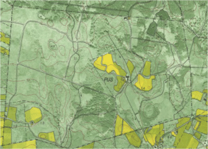 Puus 1:4 (avregistrerat nummer)