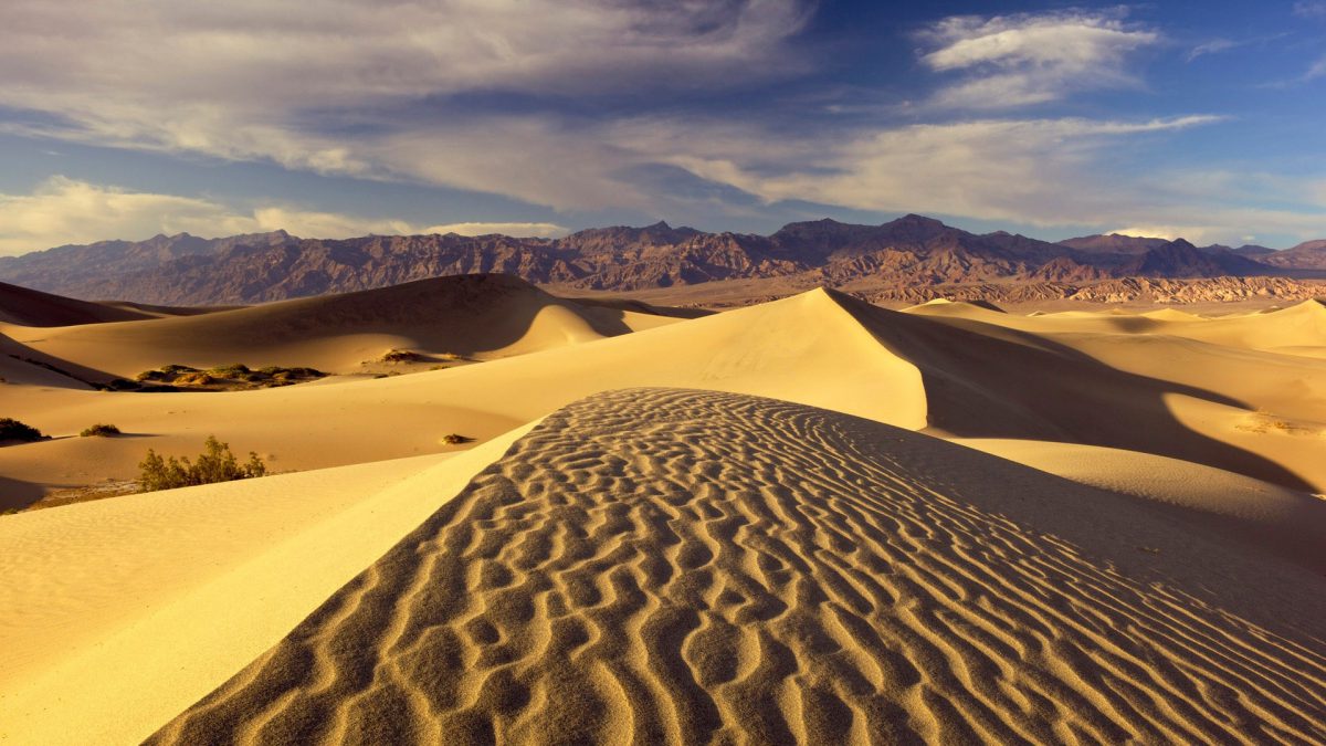 6880200-sand-dunes-background-1200x675.jpg