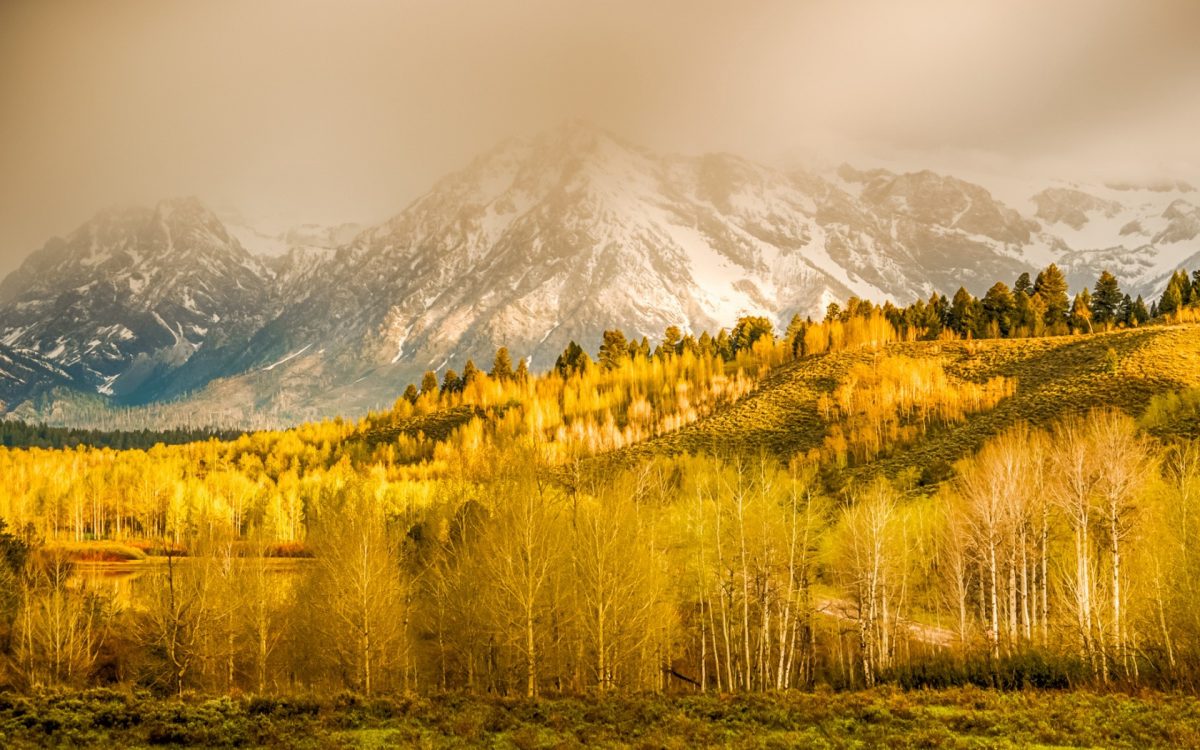 wyoming_autumn_mountains-1200x750.jpg