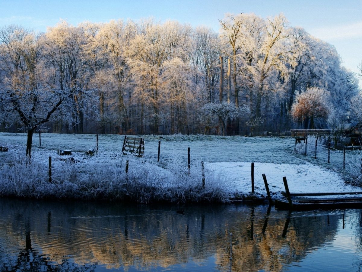 morning_lake_frost_freeze_november_fall_fence_48140_1600x1200-1200x900.jpg