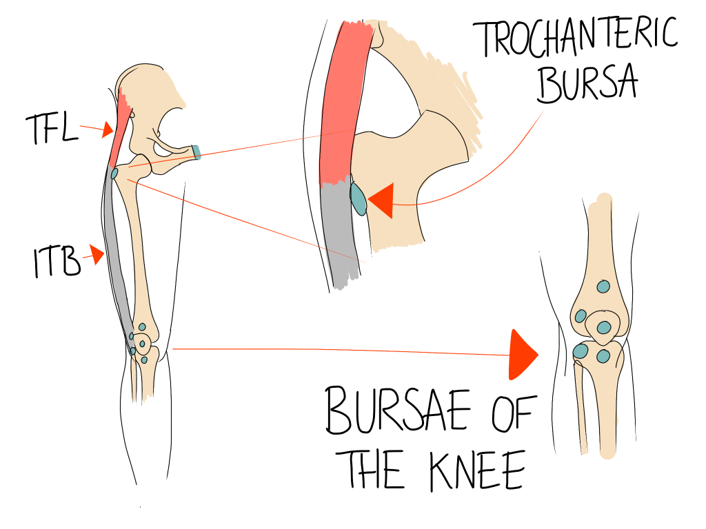 Bursitis and bursae of the hip and knee