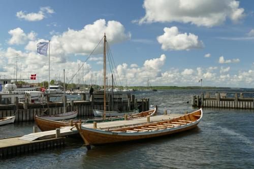 Roskilde-nye-teinaringar8