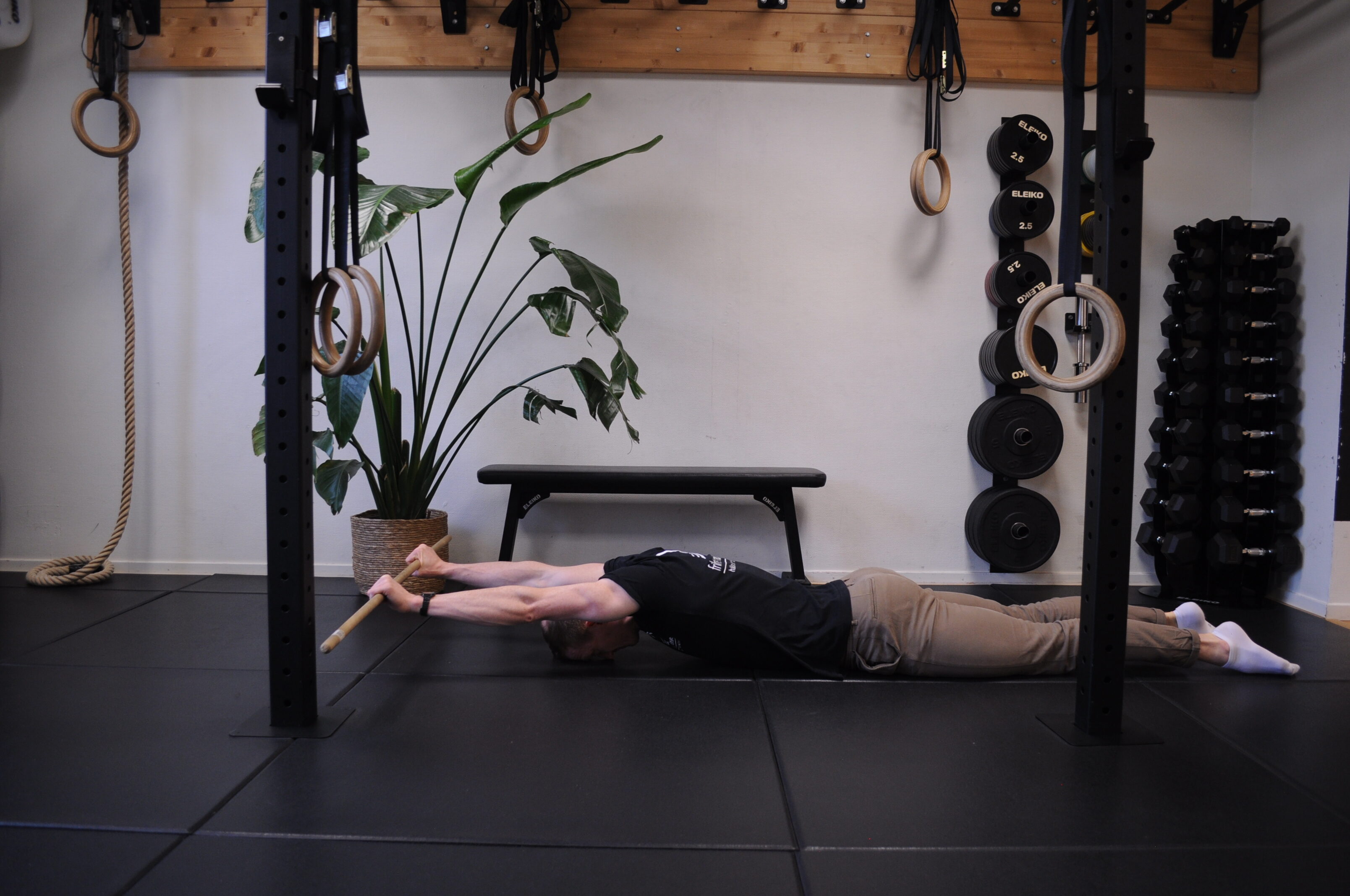 Shoulder Flexion