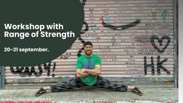 Workshop with Range of Strength