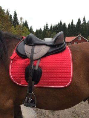 Freeform Wave och Enduro 3 Freeform Wave och Enduro 3