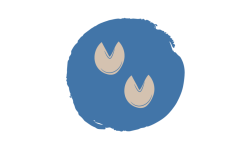 Några tjänster jag erbjuder är limskoning, verkning och utprovning av Scootboots, hästbehandlingar och hovrehabilitering. Allt för hästens bästa.