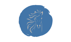 Produkter för dig och din häst med fokus på välmående. EasyShoe, AME-Products, Redhorse products, Freeforms bomlösa sadlar, Flourish Evolve och höpellets och mycket mer.