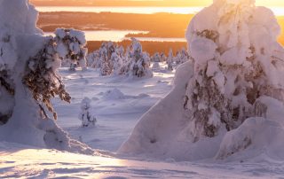 En vacker och gyllene solnedgång över Riisitunturi nationalpark.