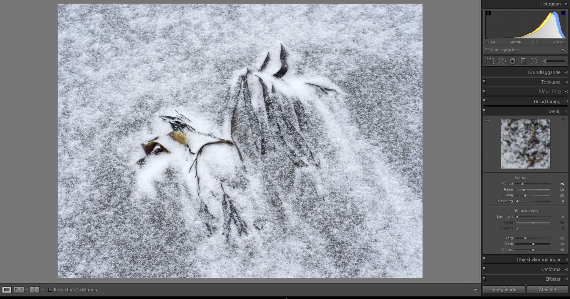 Efter_Lightroom