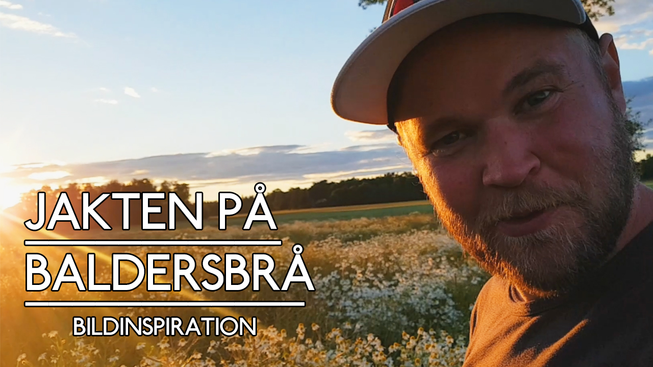 Youtube_Bildinspiration_jakten_på_baldersbrå_thumb
