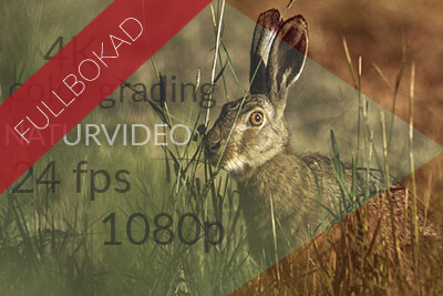 Fullbokad_video