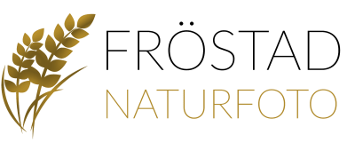 Fröstad Naturfoto Logotyp