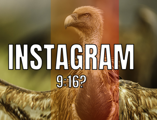 Instagram ändrar sina bilddimensioner?