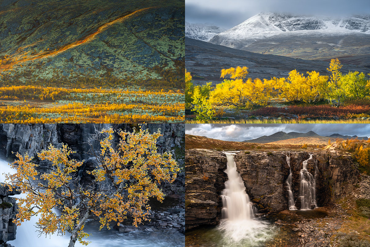 Höstfärgad fjällbjörkskog, snötäckta fjäll, björk vid fors och vattenfall i fjällmiljö. Exempel på motiv under fotoresan till Rondane nationalpark 2025.