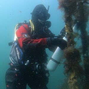 Sikkerhetsstopp, 3 minuter på 5 m. Foto: Theo den Hartog / FrøyDykk