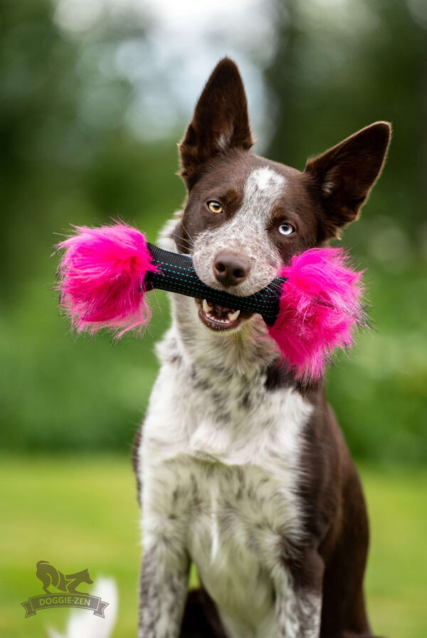 Doggie-Zen Pipkaramell - Bild 2