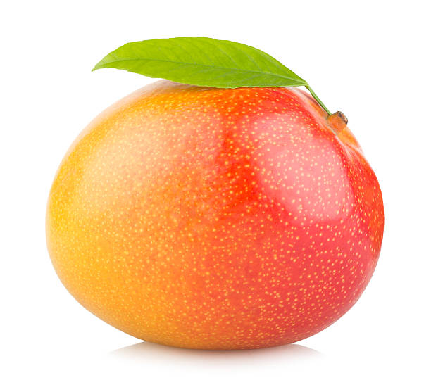 Enkele mango met steeltje op witte achtergrond