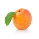 Apricot