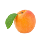 Apricot