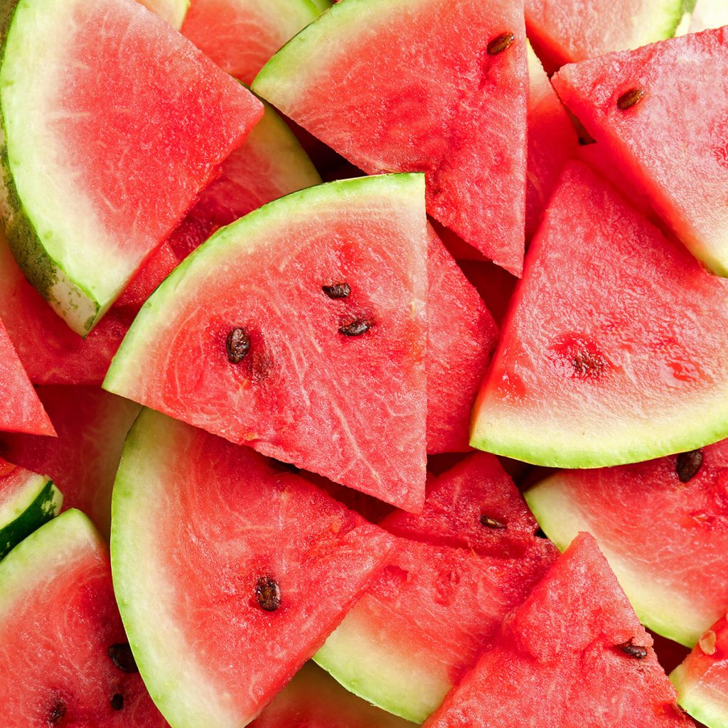 wassermelone im frühbeet