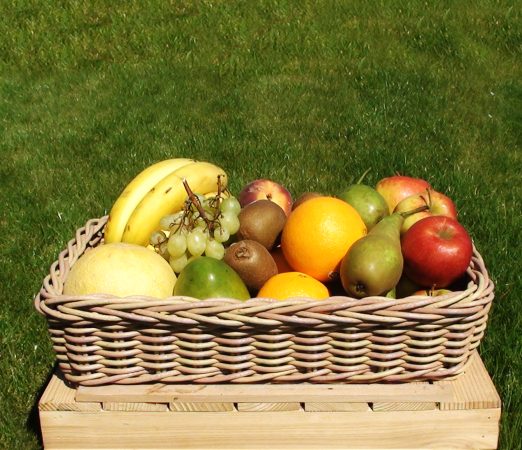 Fruit Break Medium