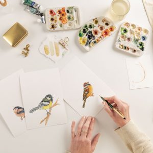 Vogels in Aquarel (dagworkshop) 13/07/2025
