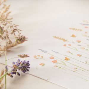 'Botanical doodling' met aquarel, doodle de zomer in! 01/07/2025