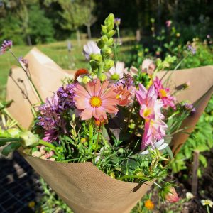 Vaasje met polymeerklei in de pluktuin Fieflora 23/08/2025