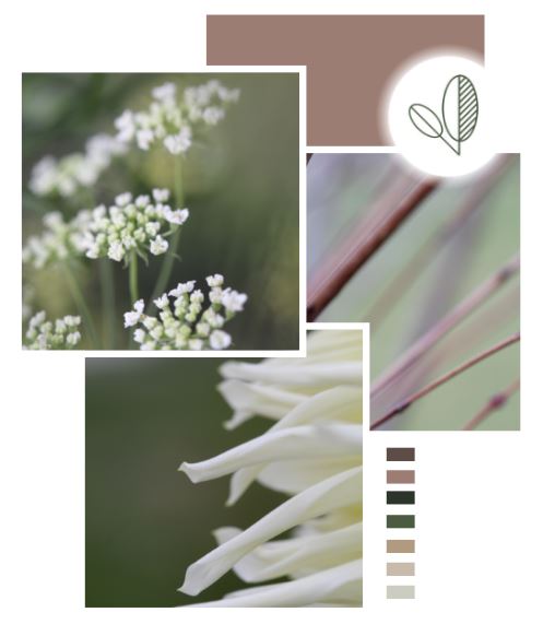 Fryd-hagedesign-tjenester-hagedesign